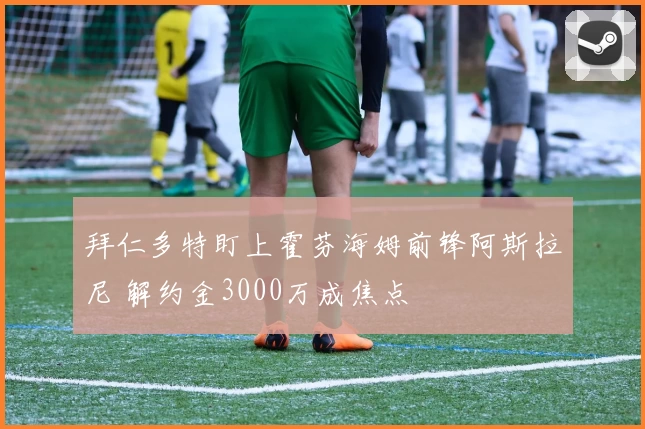 拜仁多特盯上霍芬海姆前锋阿斯拉尼 解约金3000万成焦点