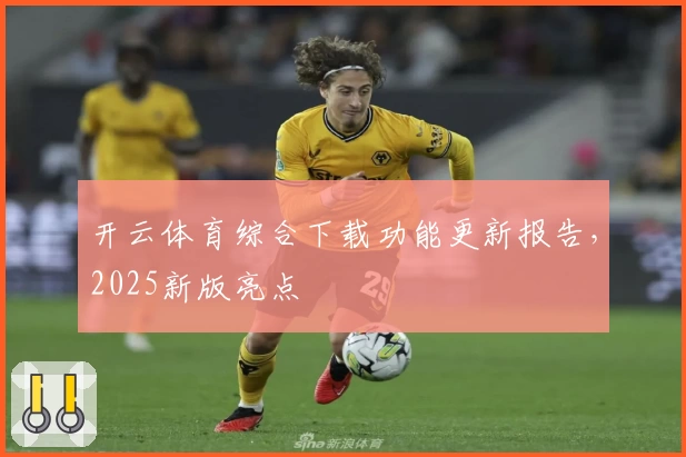 开云体育综合下载功能更新报告，2025新版亮点