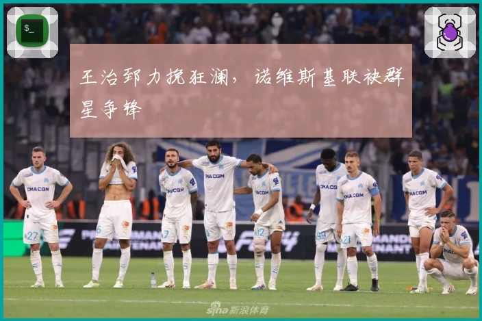 王治郅力挽狂澜,诺维斯基联袂群星争锋