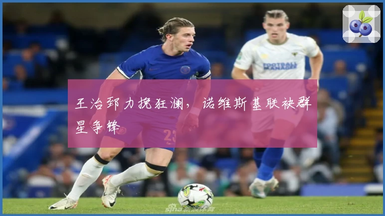 王治郅力挽狂澜，诺维斯基联袂群星争锋