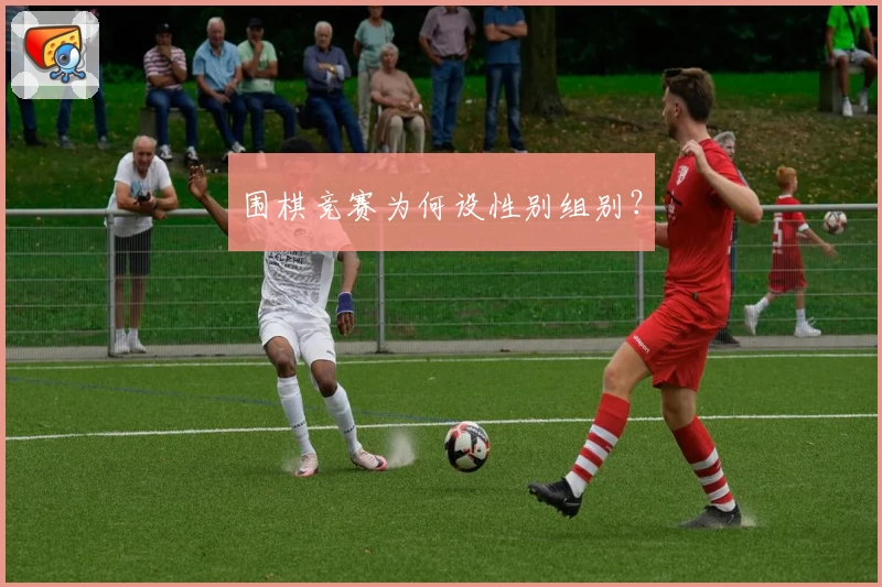 围棋竞赛为何设性别组别？